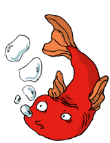 Marion Duclos - Le poisson blog